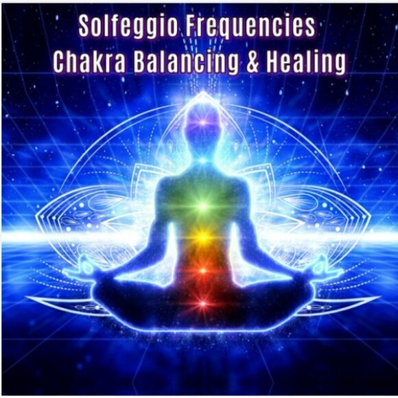 6.5" ~ Chakra Stretch Bracelet w. Jaspers, Unakite, Citrine, Agate, Shell +++ - Picture 6 of 8